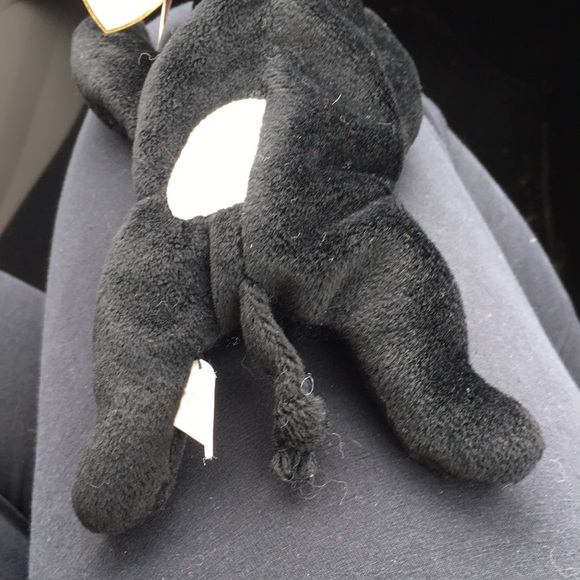 Rare TY Daisy with date error - Picture 6 of 9